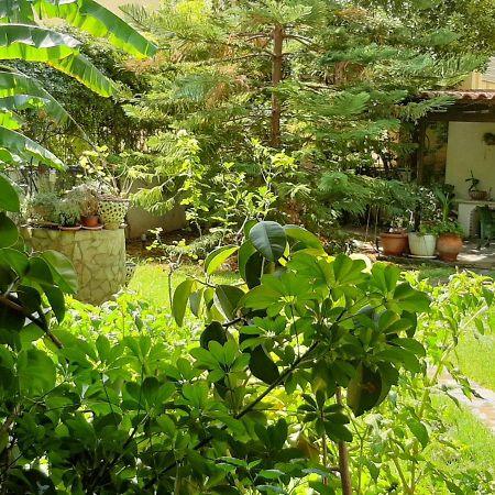 Lovely House Atena Exterior foto