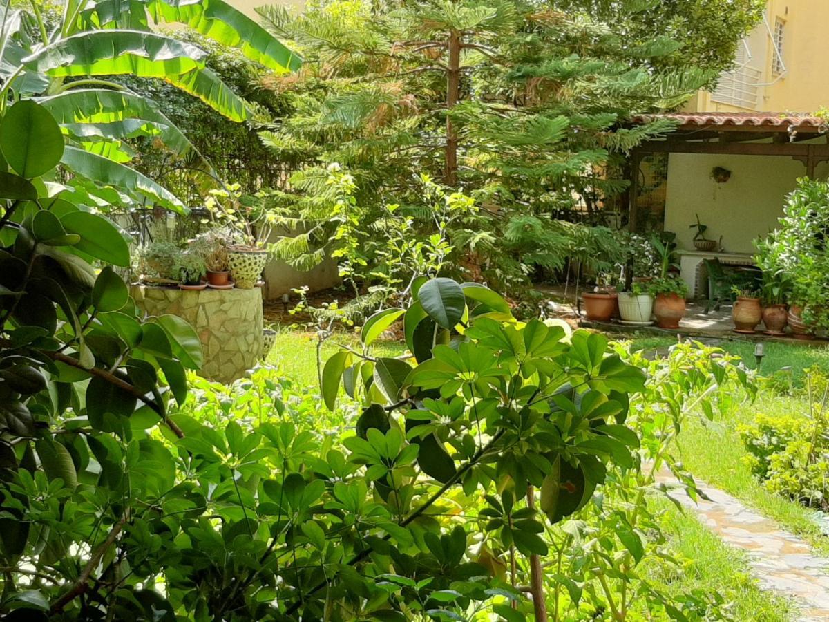 Lovely House Atena Exterior foto